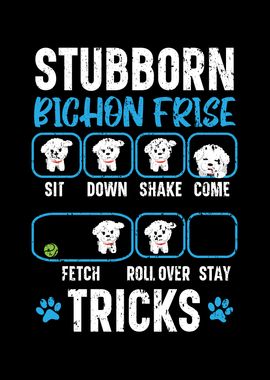 Stubborn Bichon Frise