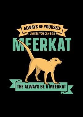 Meerkat