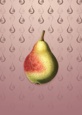 Vintage Pear on Dusty Pink