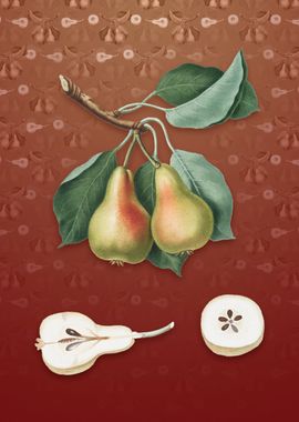 Vintage Pear on Falu Red