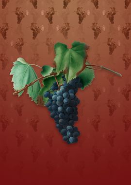 Grape Vine on Falu Red