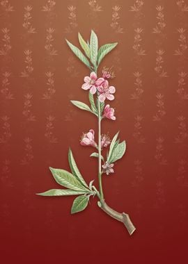 Vintage Pink Flower on Red