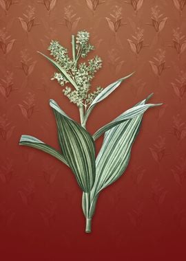 Vintage False Helleborine