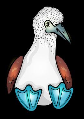 Blue Booby Ocean Sea Bird