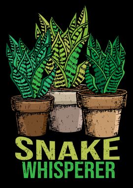 Snake Plant Lover Florist