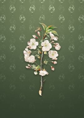 Vintage Pear Tree Flowers