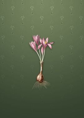 Vintage Autumn Crocus