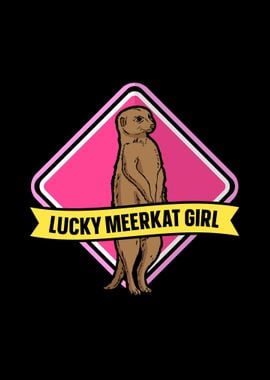 Meerkat