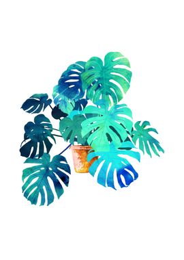 Monstera Watercolor Paint