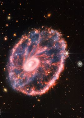 Cartwheel Galaxy JWST