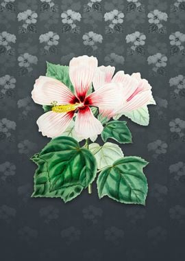 Vintage Marsh Hibiscus