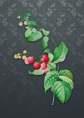 Vintage Red Berries