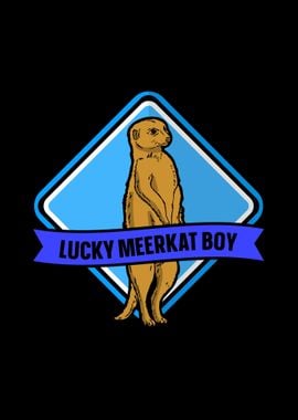 Meerkat