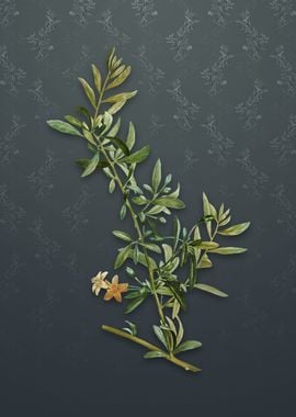 Goji Berry on Slate Gray