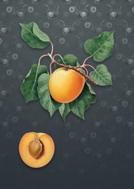 Vintage German Apricot