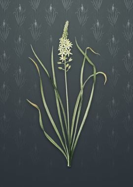 Vintage Wild Asparagus