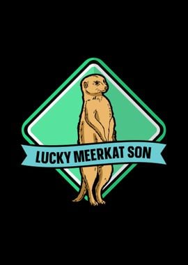 Meerkat