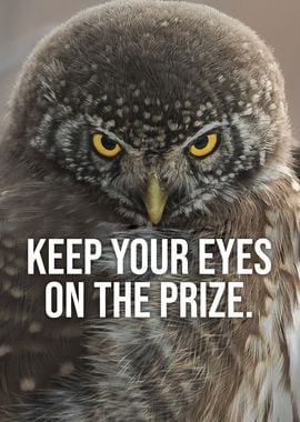 Keep Your Eye On The Prize