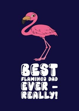 Funny Flamingo Grafic