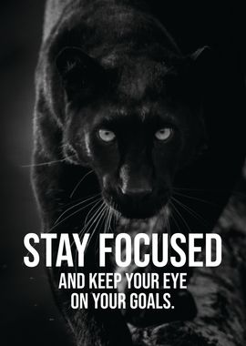 Stay Focused