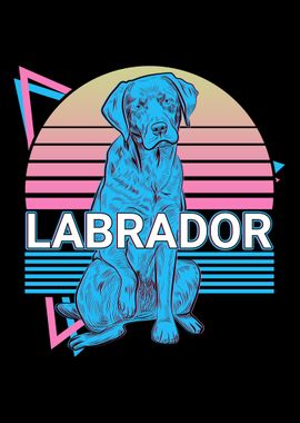 Labrador Retro