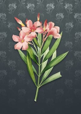 Oleander on Slate Gray