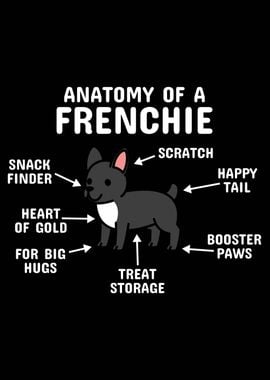 French Bulldog Anatomy