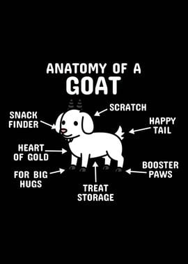 Anatomy Of A Goat