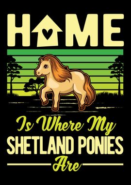 Shetland Pony Shetty