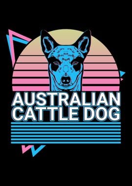 Australian Cattle Dog