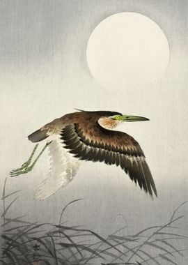 Heron at full moon 1900 