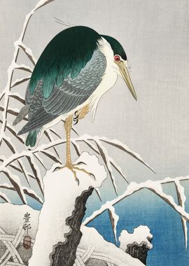 Heron in snow 1920