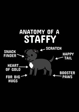 Anatomy Of A Staffy