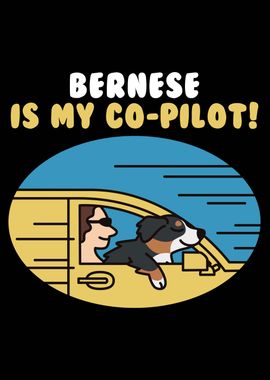 Bernese Mountain CoPilot