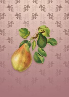 Vintage Pear on Dusty Pink