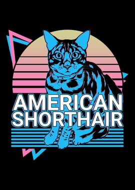 American Shorthair Cat