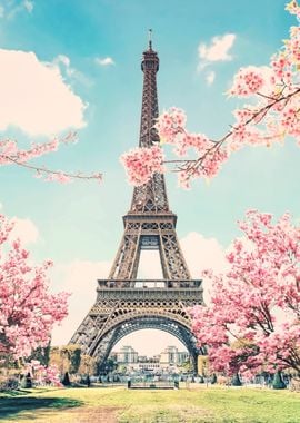 Paris Sakura