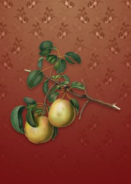 Vintage Pear on Falu Red