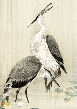 Two herons in the rain