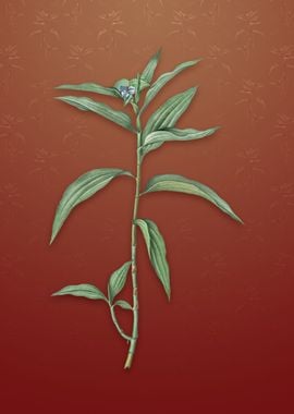 Dayflower on Falu Red