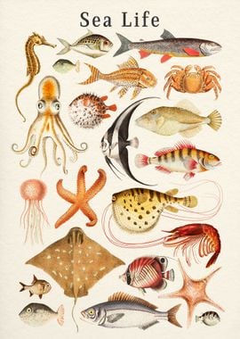 Sea Life Collection' Poster, picture, metal print, paint by Gal