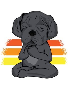 Dog Meditation Cane Corsi