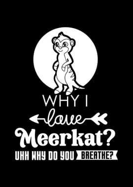 Meerkat