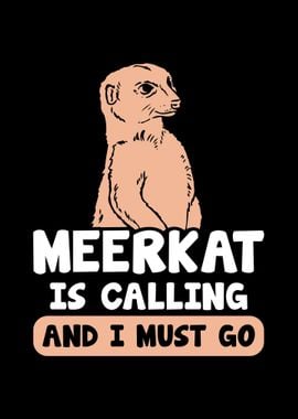 Meerkat