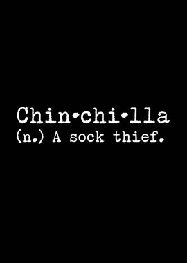 Chinchilla A Sock Thief 