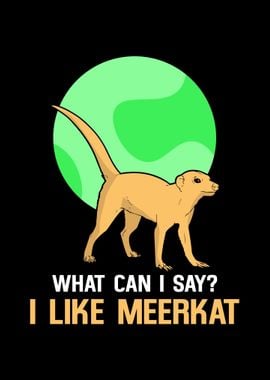 Meerkat