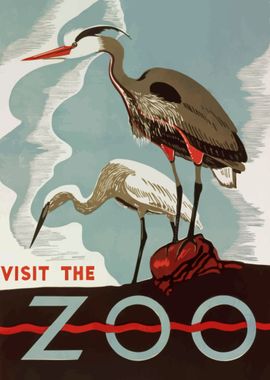 Visit the Zoo