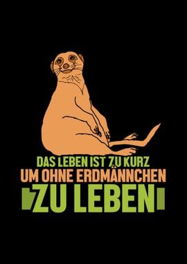 Meerkat German