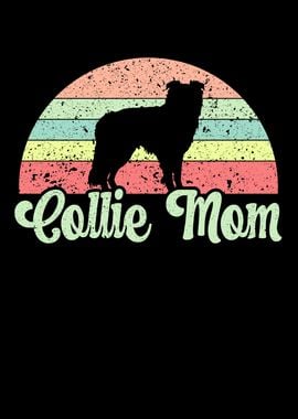 Collie Mom Border Collie