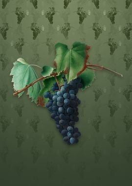 Grape Vine on Lunar Green